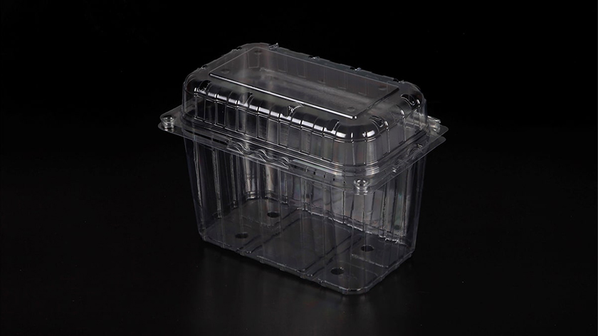 1000cc Kapaklı Şale