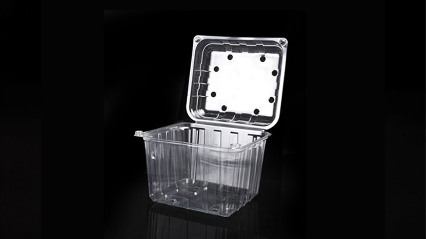 2000cc Kapaklı Şale