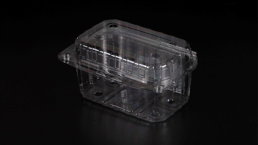 250cc Kapaklı Şale