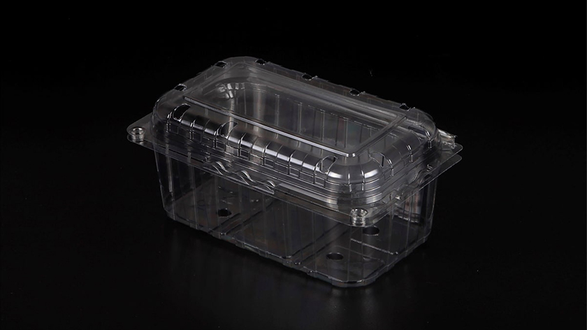 500cc Kapaklı Şale